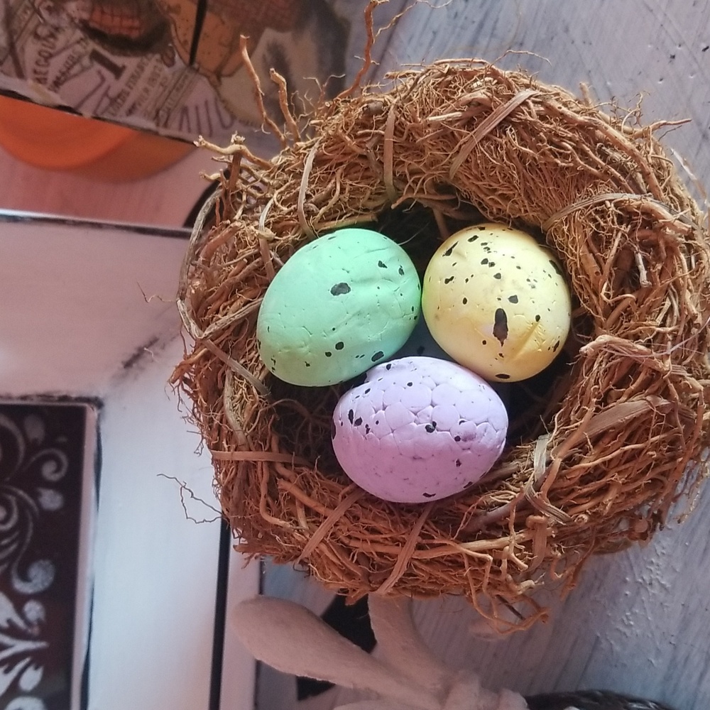 Bird nest eggs not included